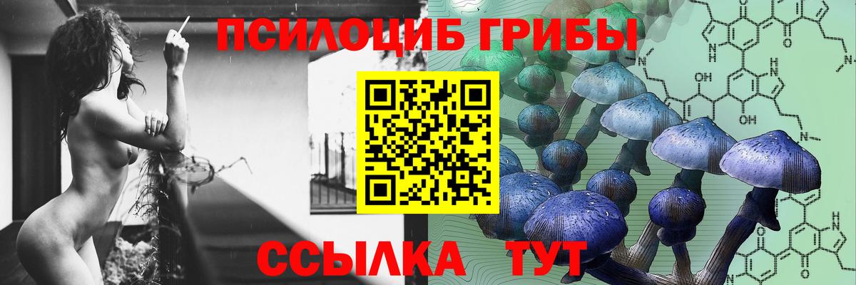 Галлюциногенные грибы Psilocybine cubensis  Вход с VPN  Бердск  Псилоцибиновые грибы Psilocybe 