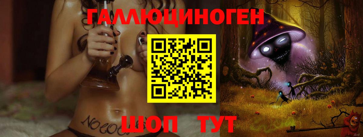 Галлюциногенные грибы Cubensis Бердск