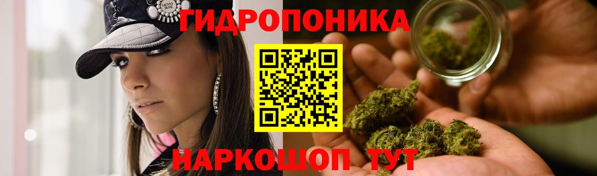 Бердск  Конопля VHQ  Вход с VPN  Канабис SATIVA & INDICA 